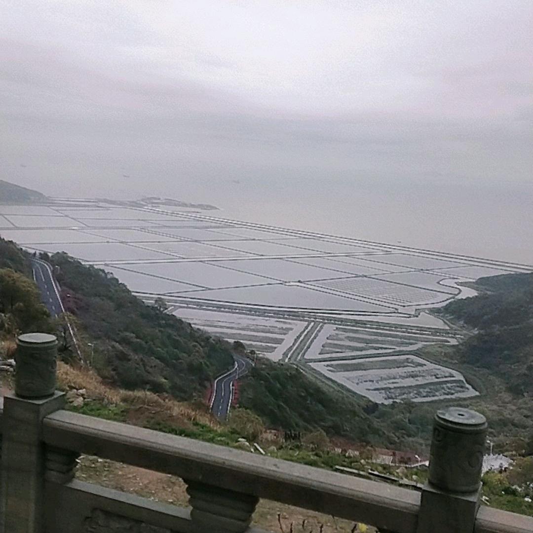 朱丽
