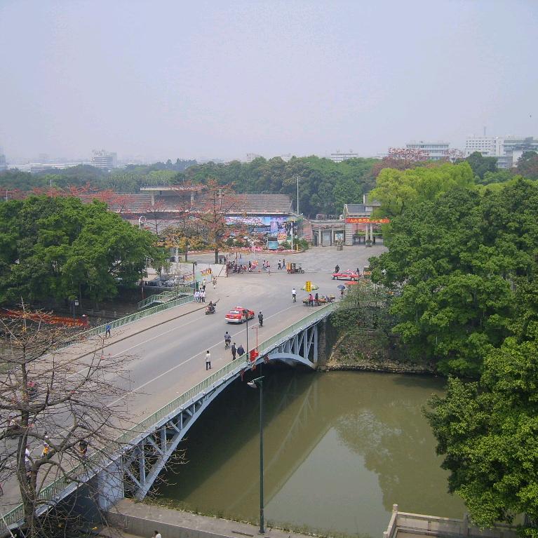 小洋