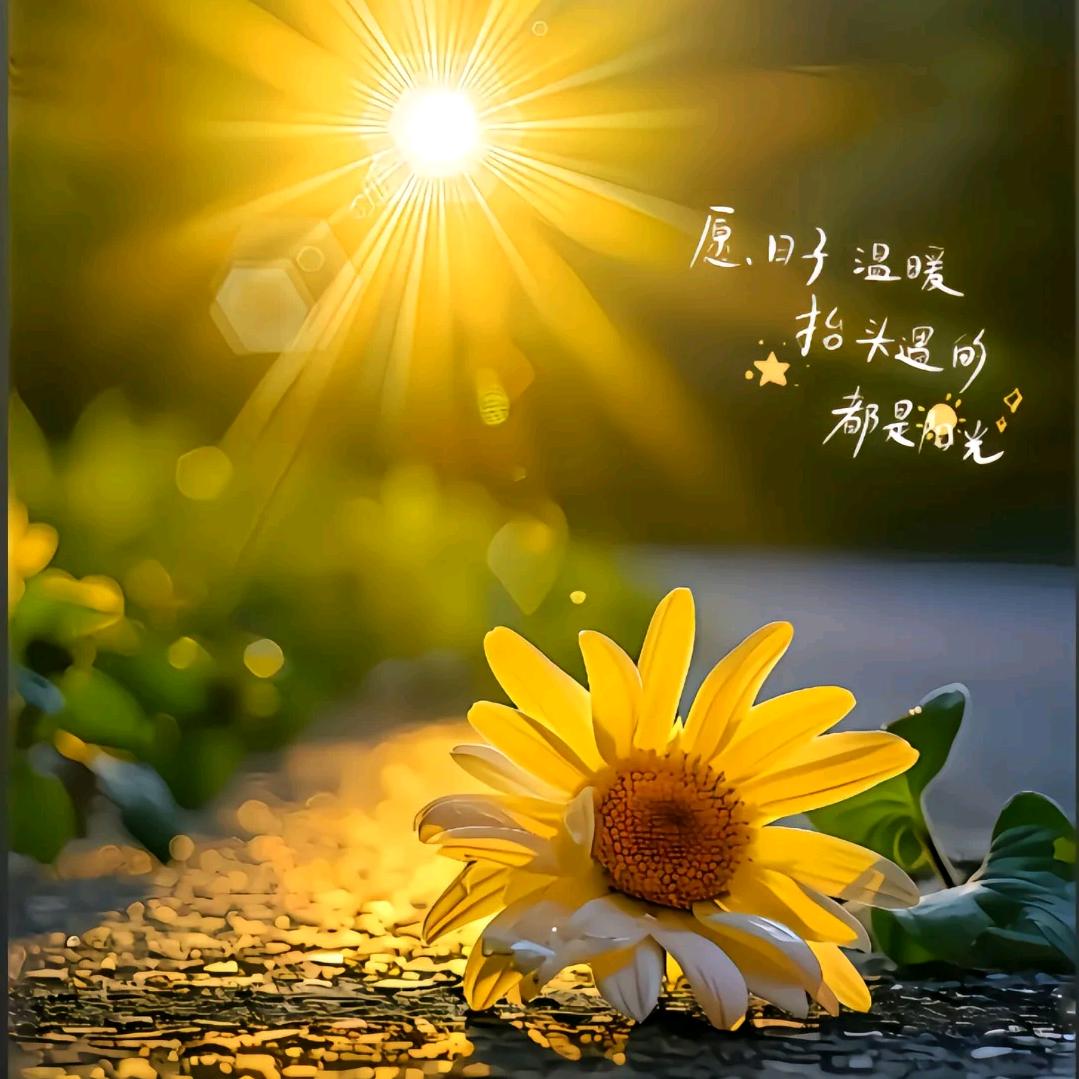 🐷平常心🐷徐x.y