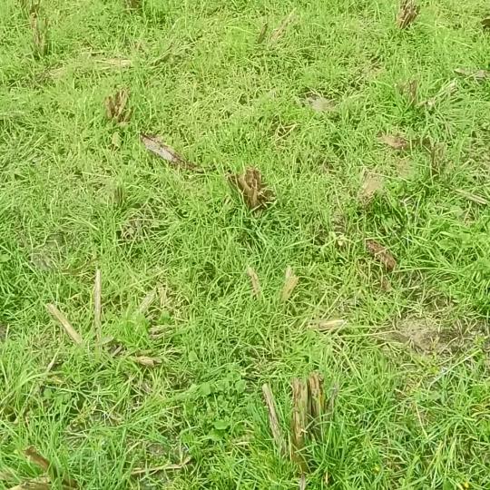 小雷一路前行3