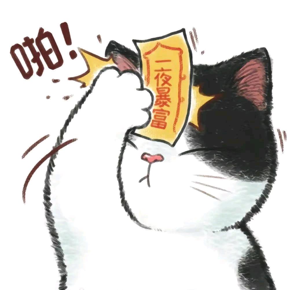 小旋风nt8a