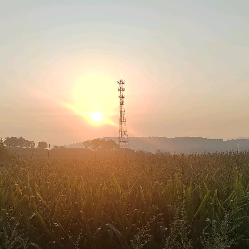 💞᭄不发胖࿆只发财꧔ꦿ᭄❀