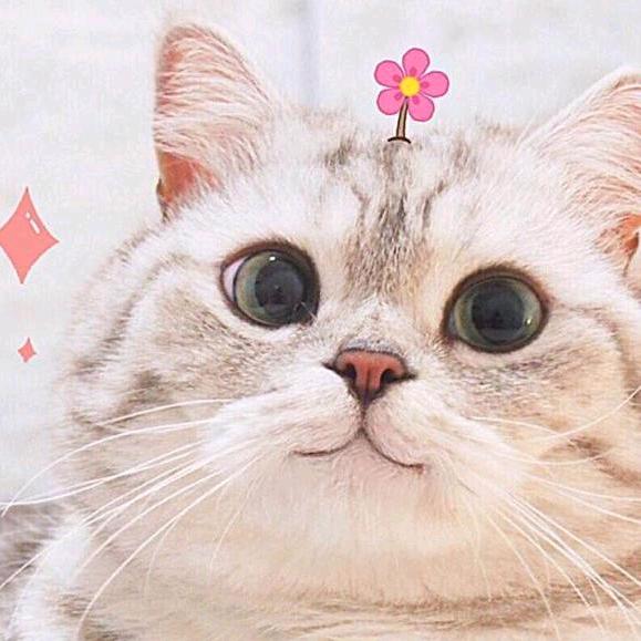 你的名字很特殊