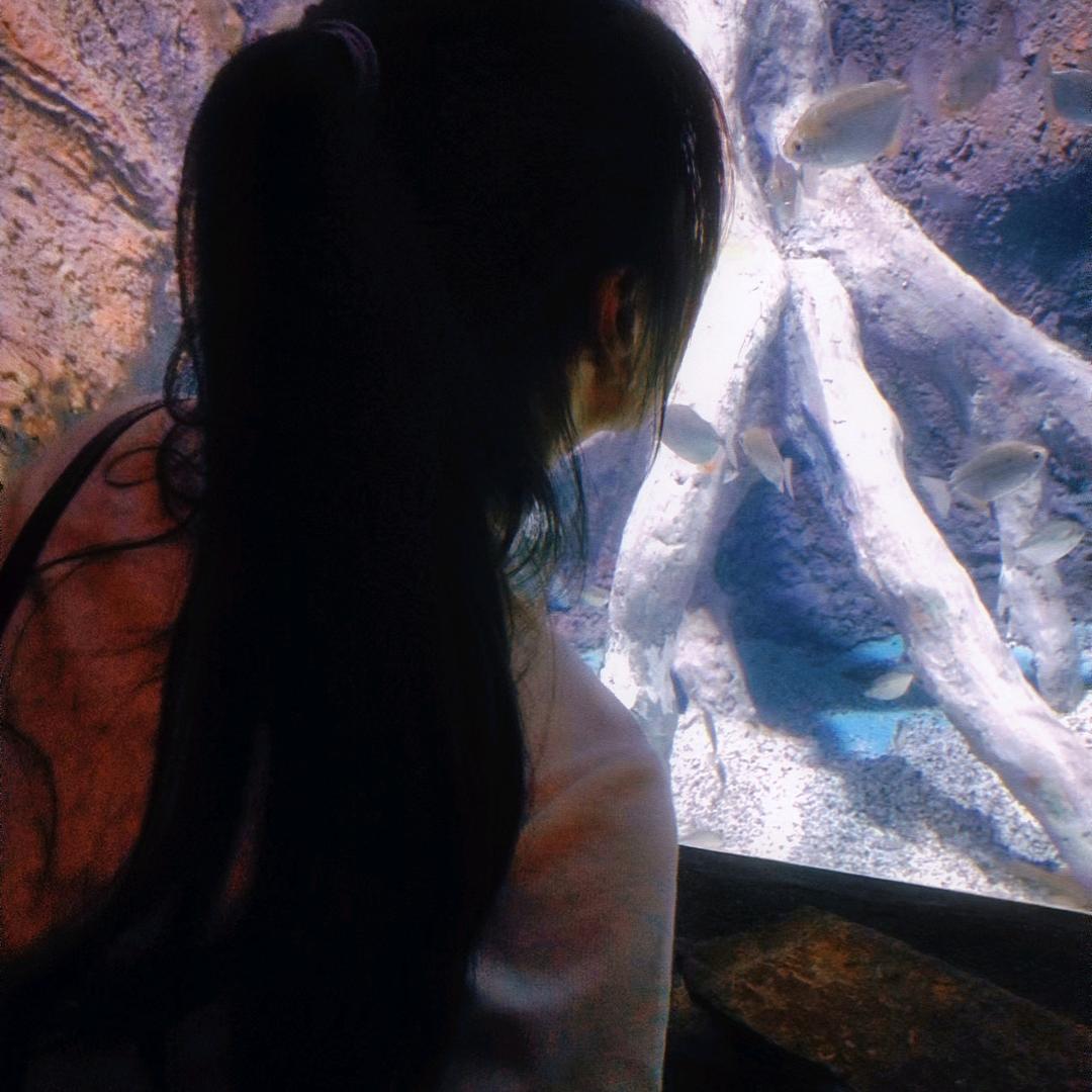 鑫鑫✨（见过时团版）