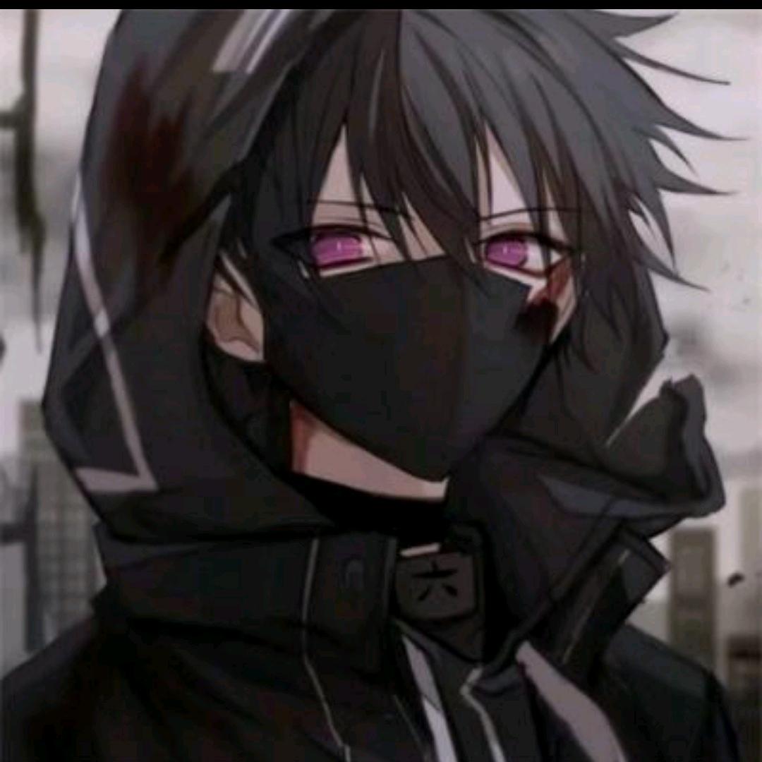 、林木木