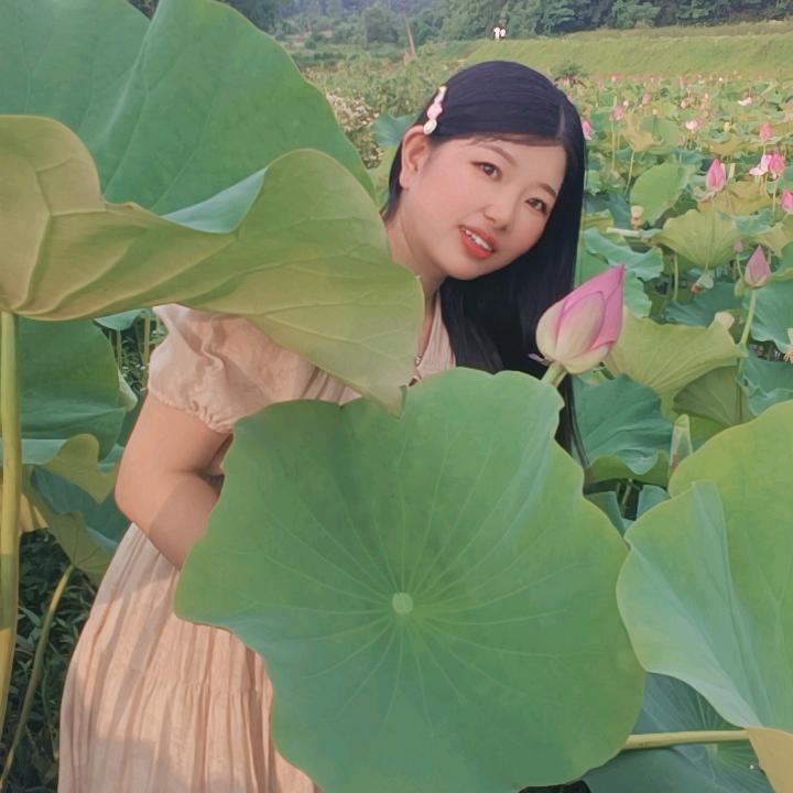 春风暖阳
