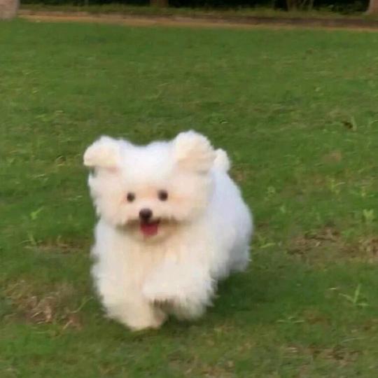 只卖超便宜的东西