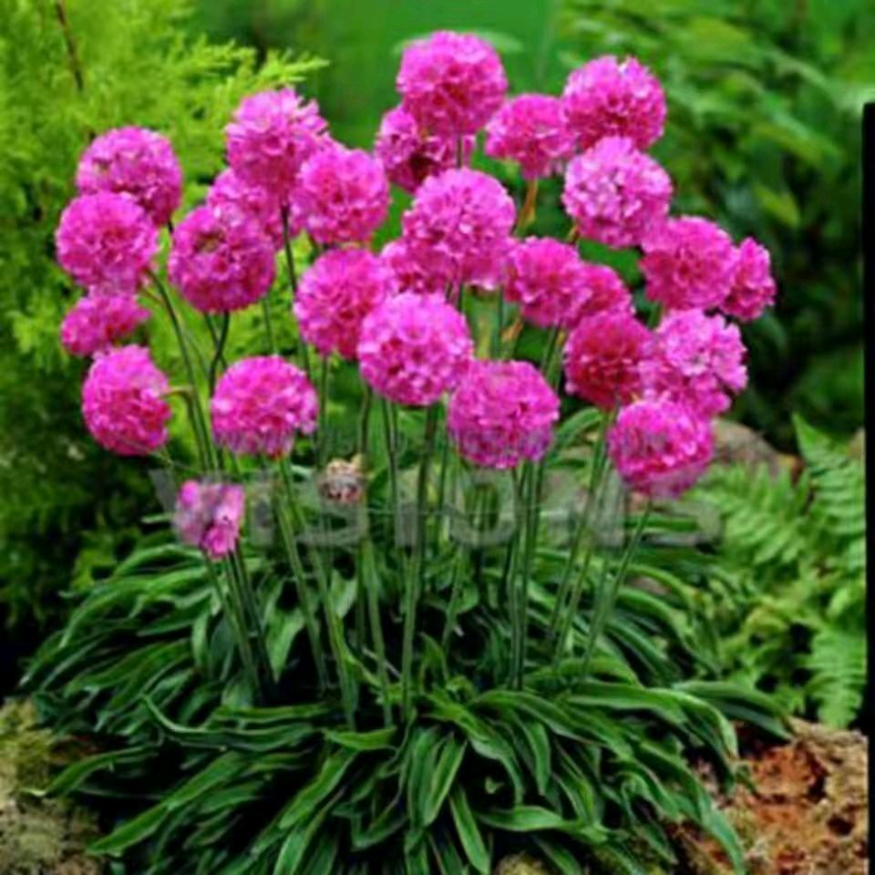 珍惜才配拥有。