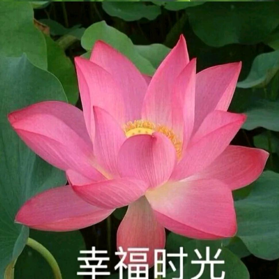 金玉满堂🙂🙂