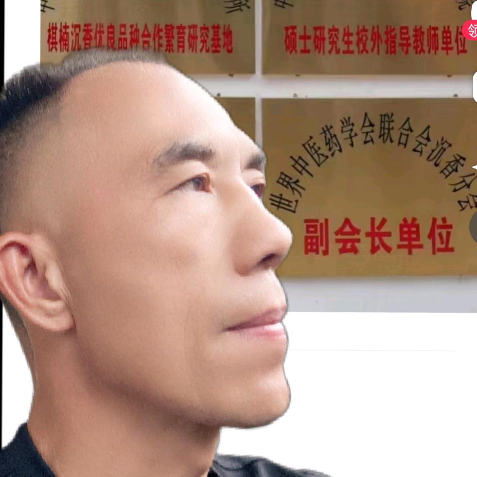 养生灯塔