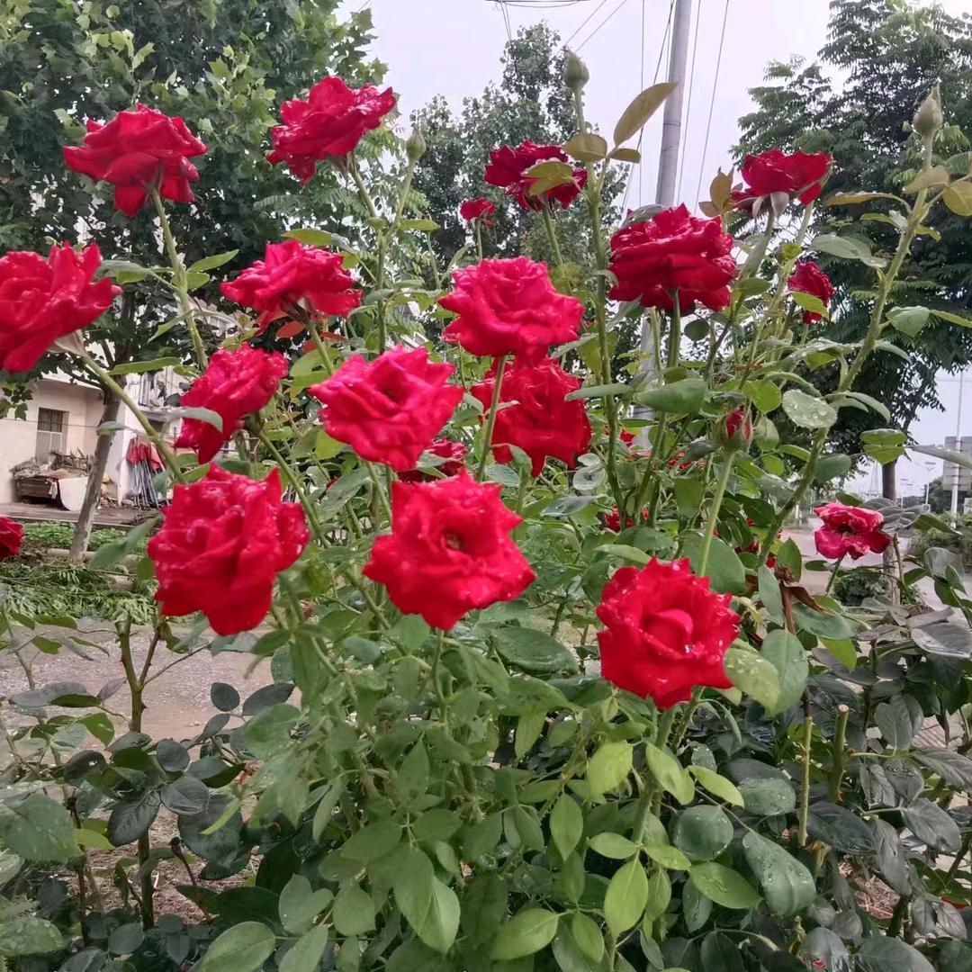 ♡♬余生安好♡