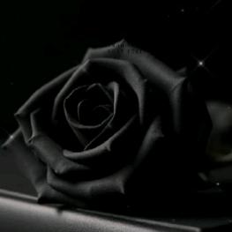 高兴ʸʸ