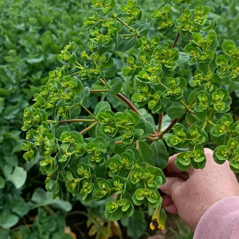 怎样才是现实的生活