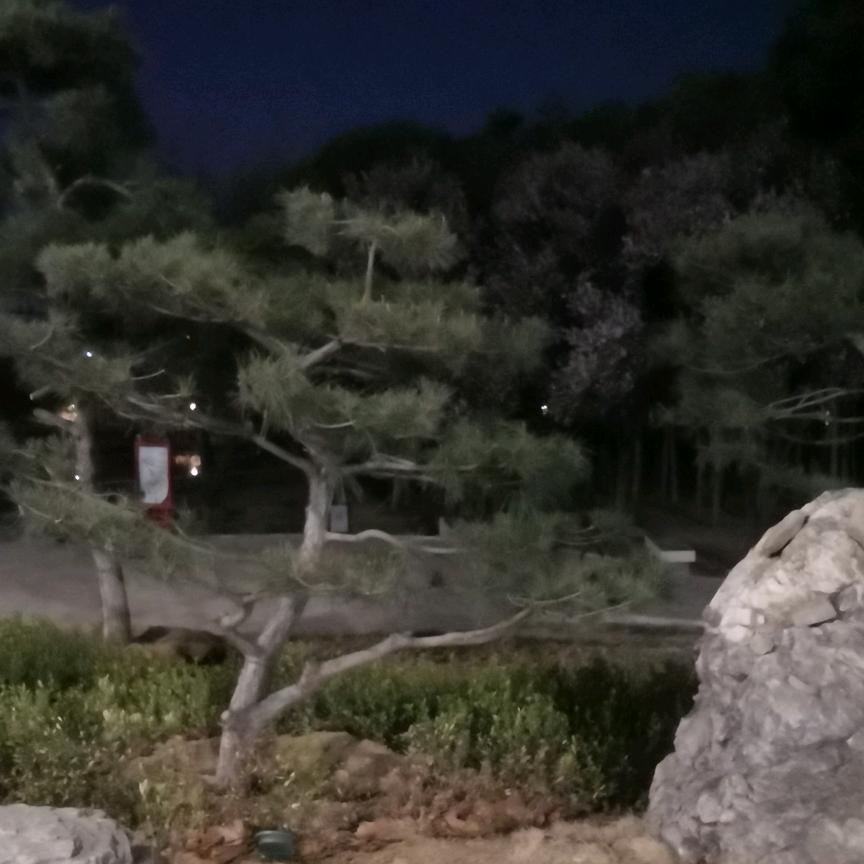 兔子真可爱