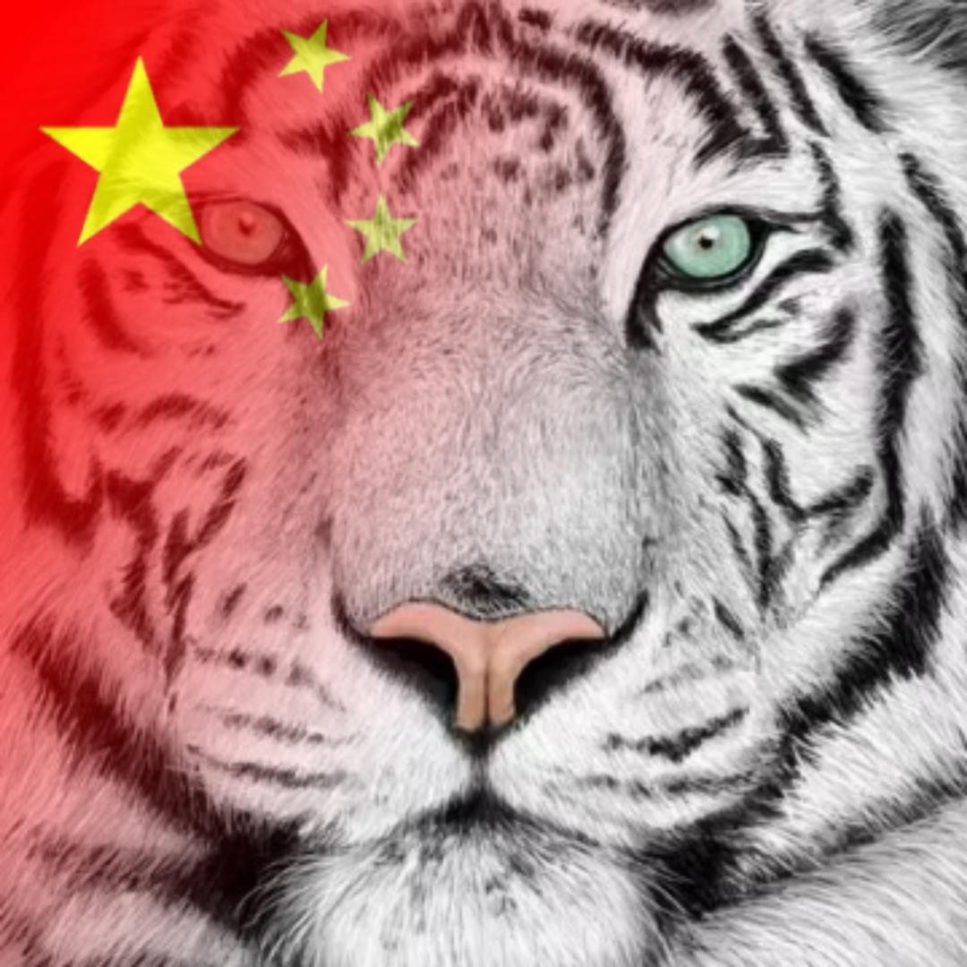 🇨🇳 于先生