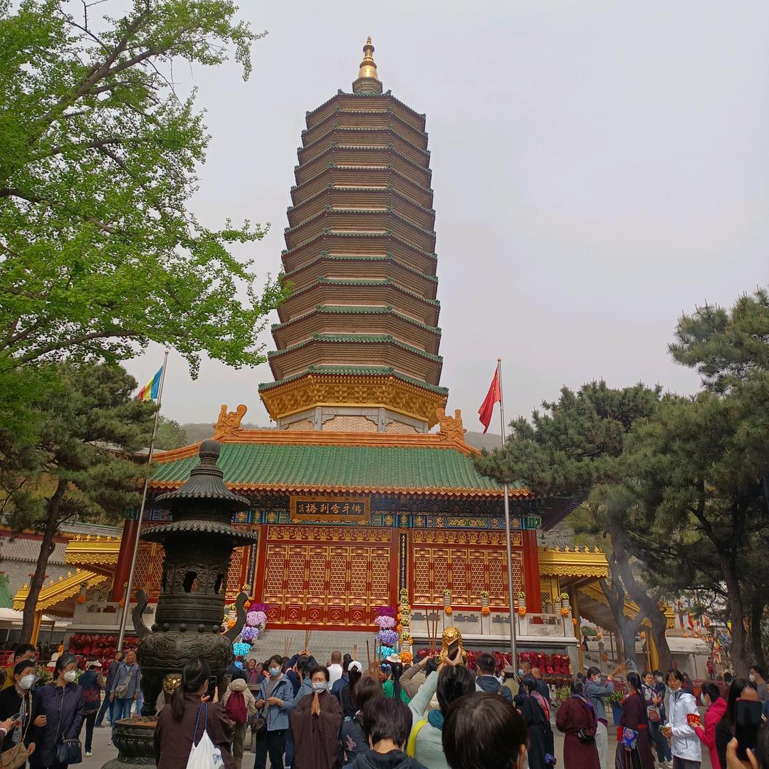 抹艺🙏