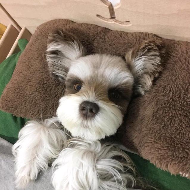 爨灪麤彠齉爩蠿龘羃齑瀪