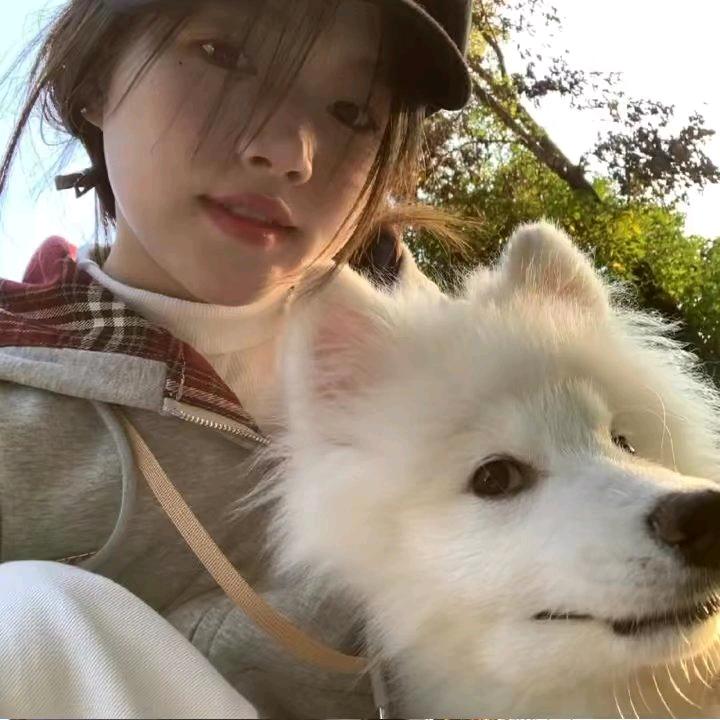 晚晚皆安