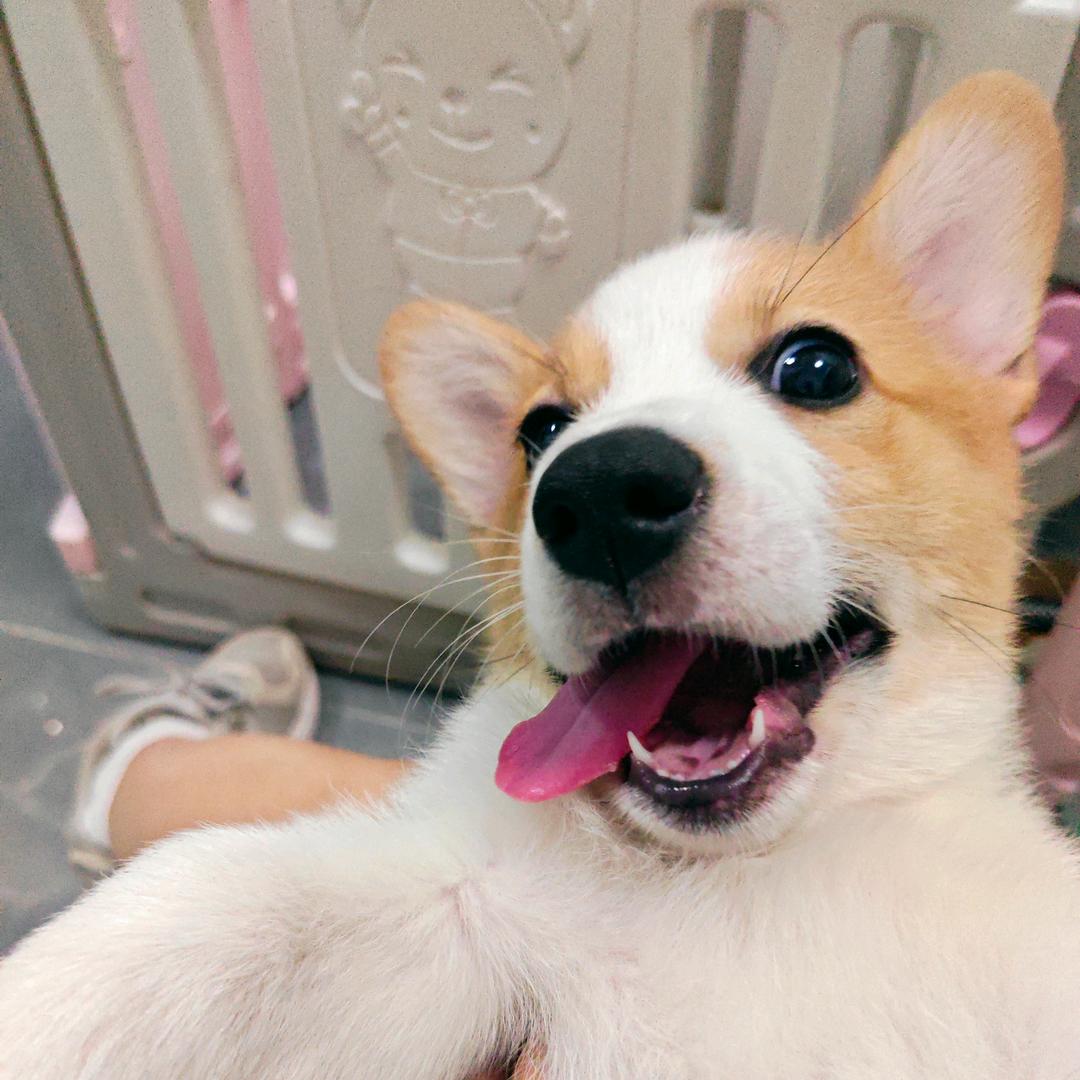 年过六十风韵犹存
