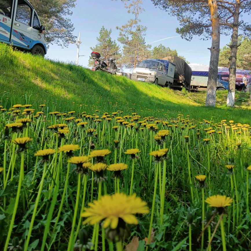 小苏江鱼行（鹤岗）