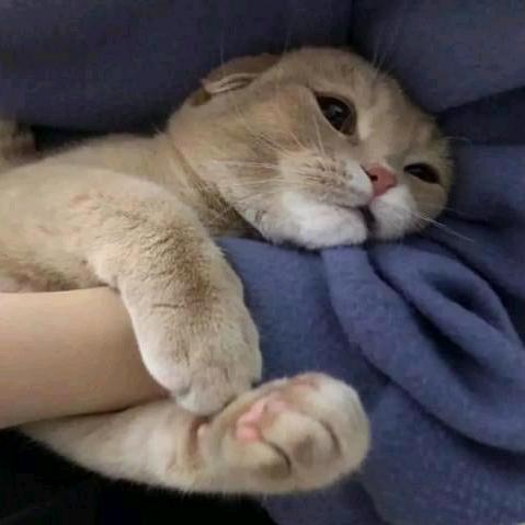 深海不及你心