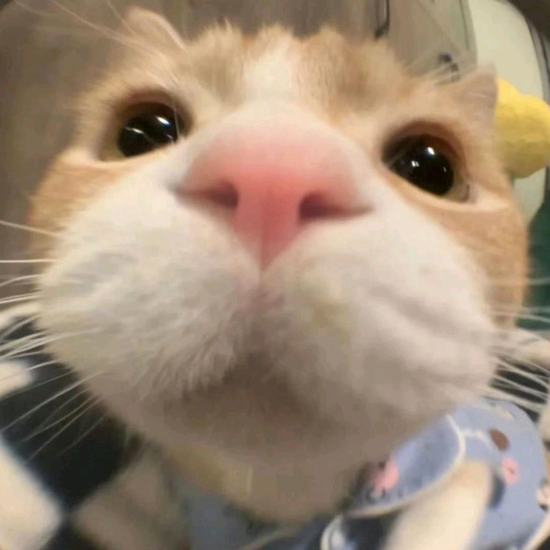 小咩