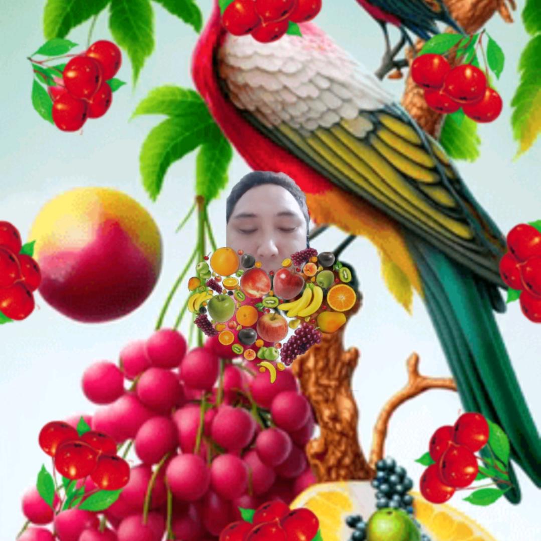 嗨喽