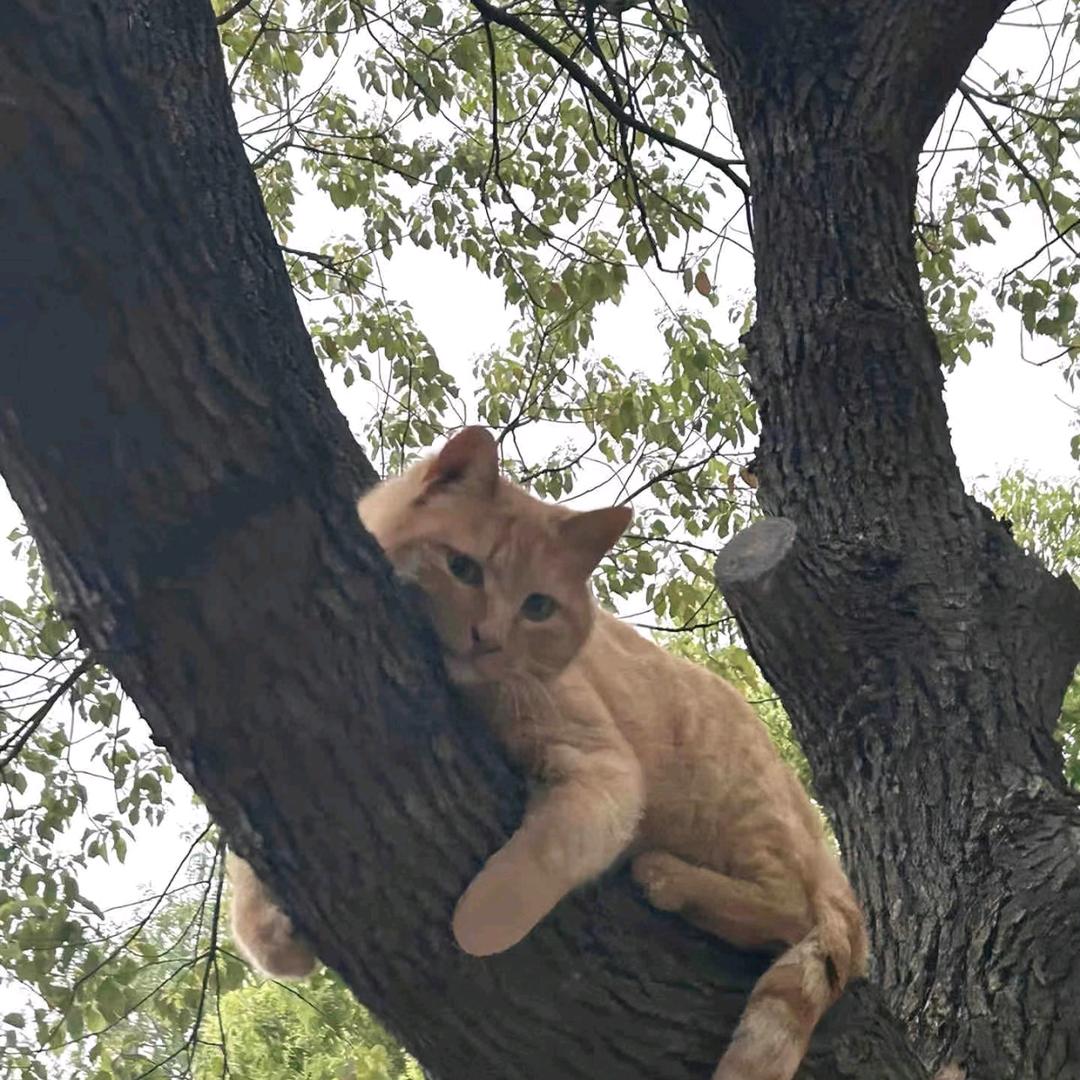 想要每天都开心