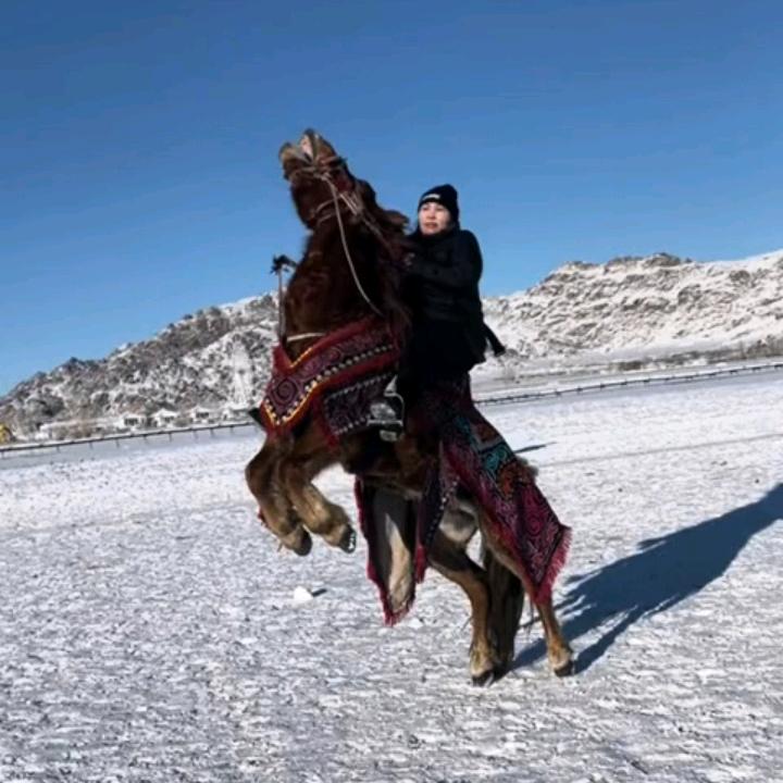 库丽帕特·哈马西