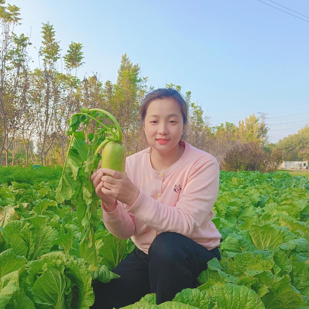奋斗鸭说农业