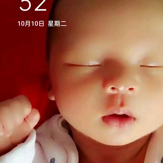 肥嘟嘟“胖乎乎”