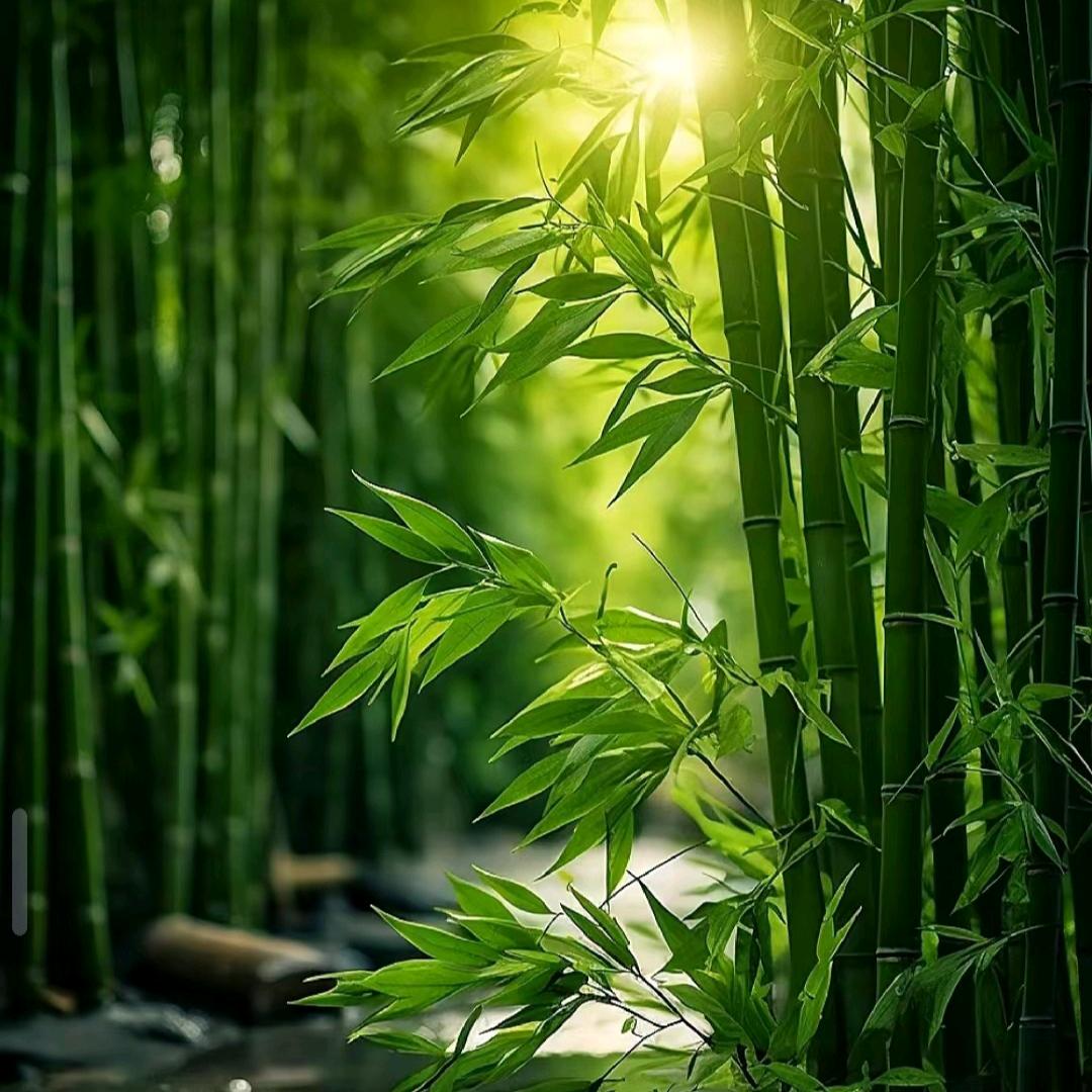 🌈🌈中国心🌈🌈