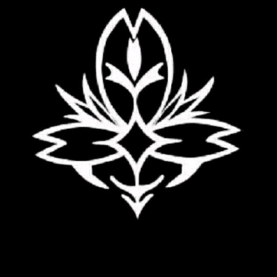 城北中学星樱动漫社摄影部