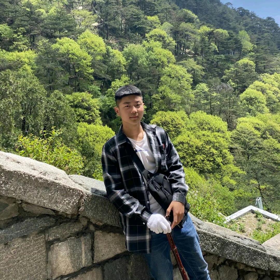 浅水的鱼
