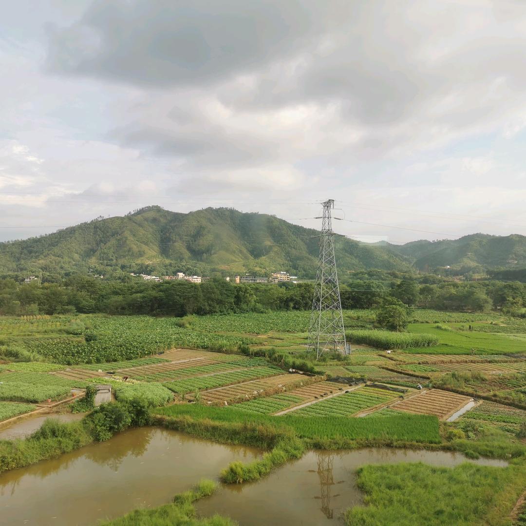 淡泊明志1