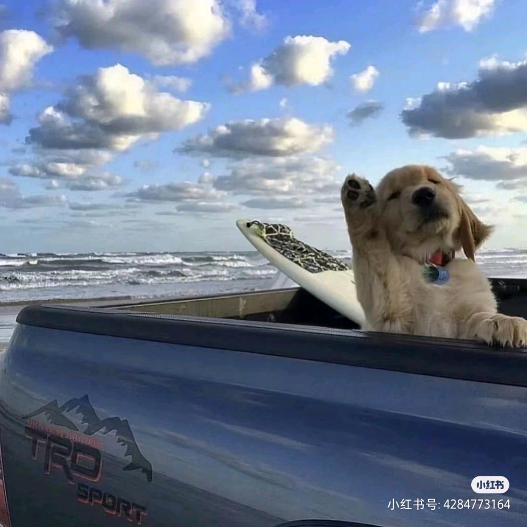 摇着风铃去西藏