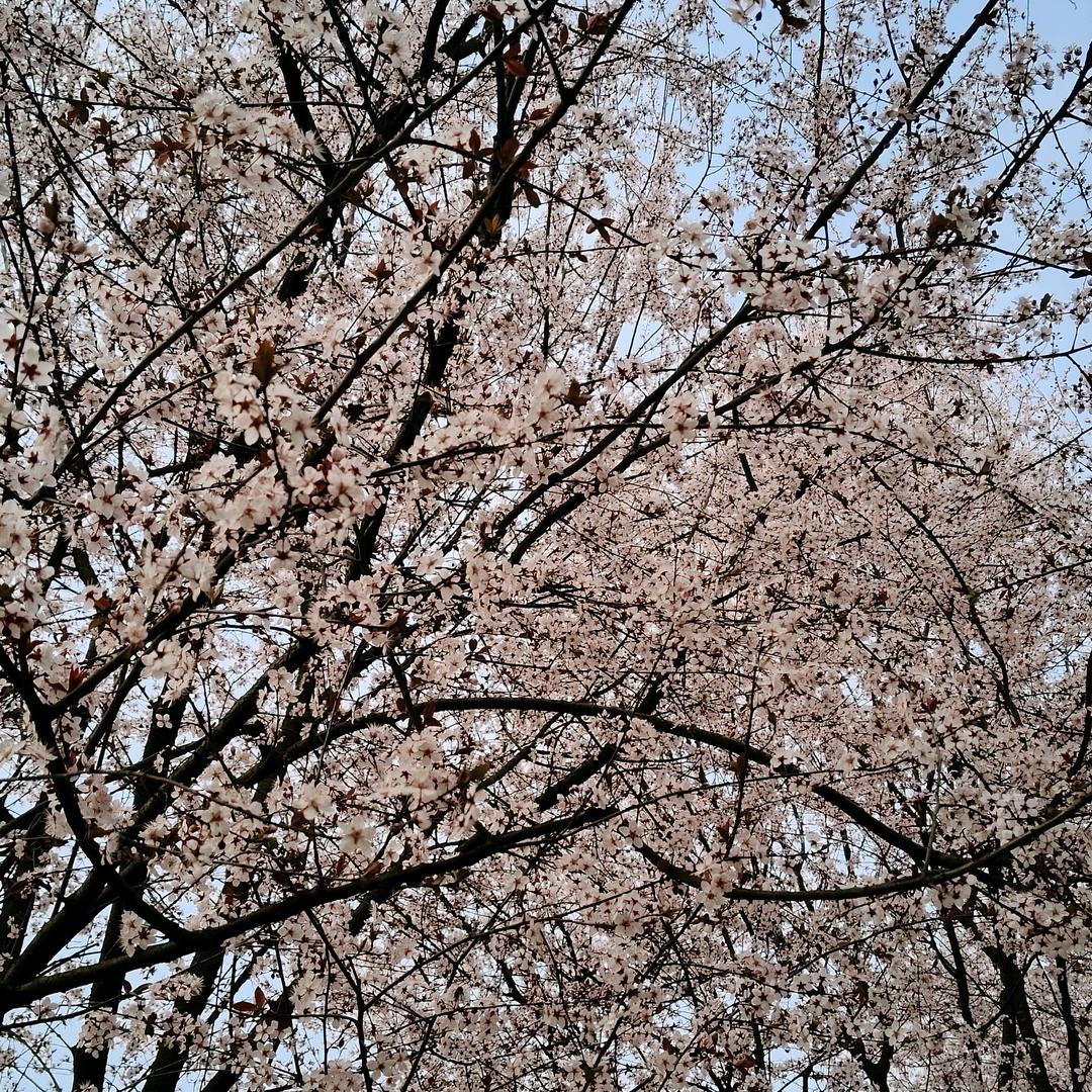 ღ᭄不再💞期待꧔