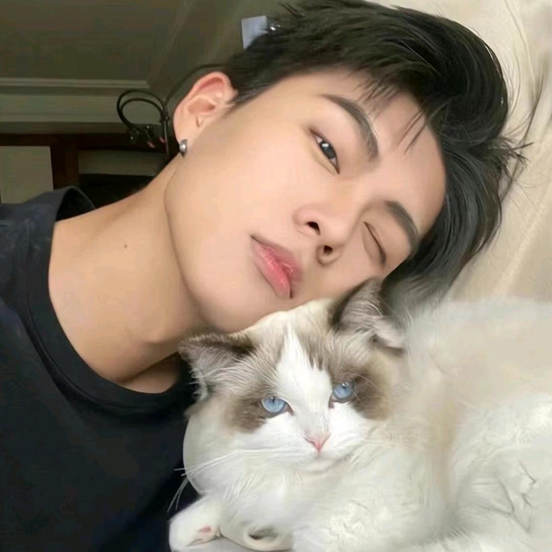 TF.菠萝👑小别兔兔堡🐰