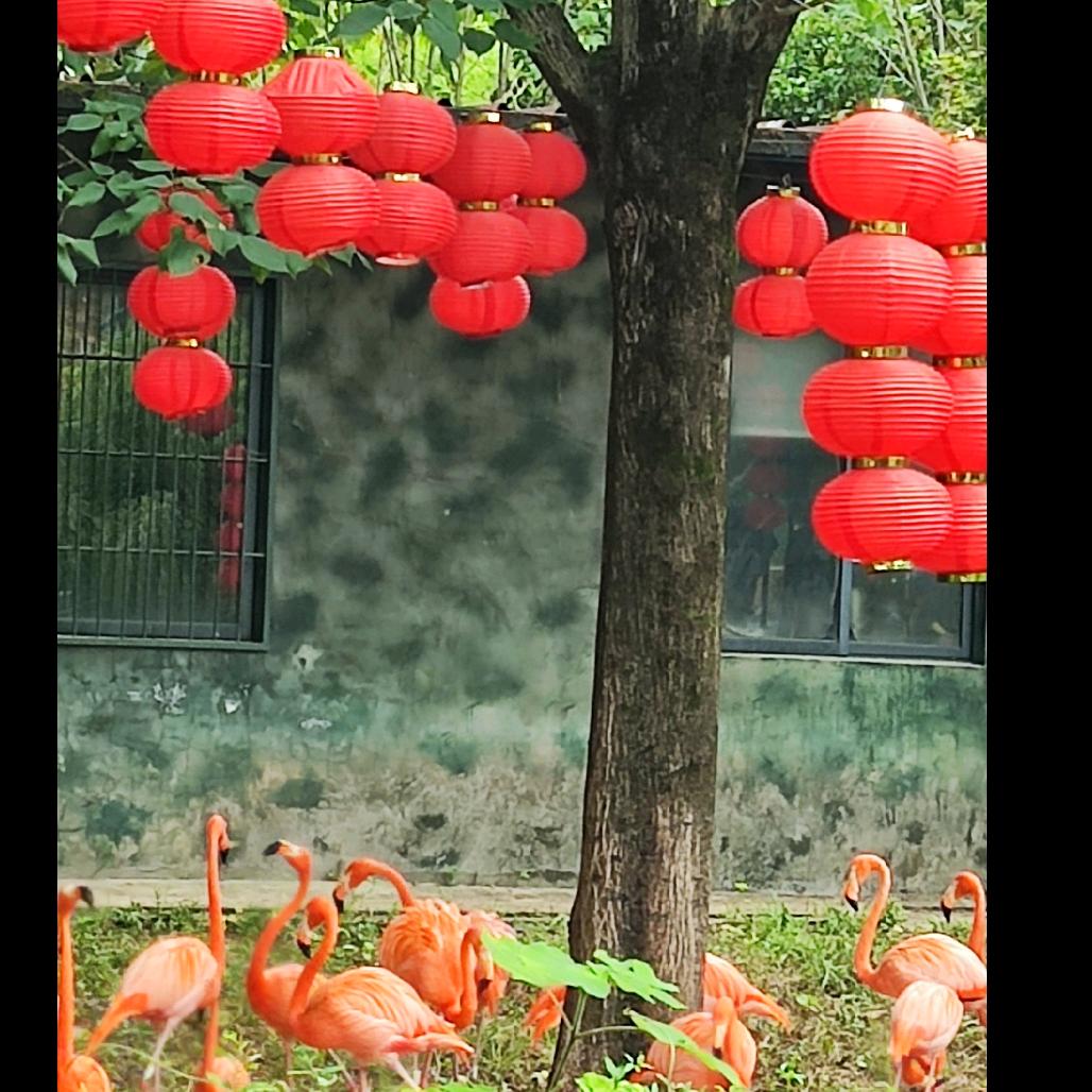 随缘就好《拒绝私聊》