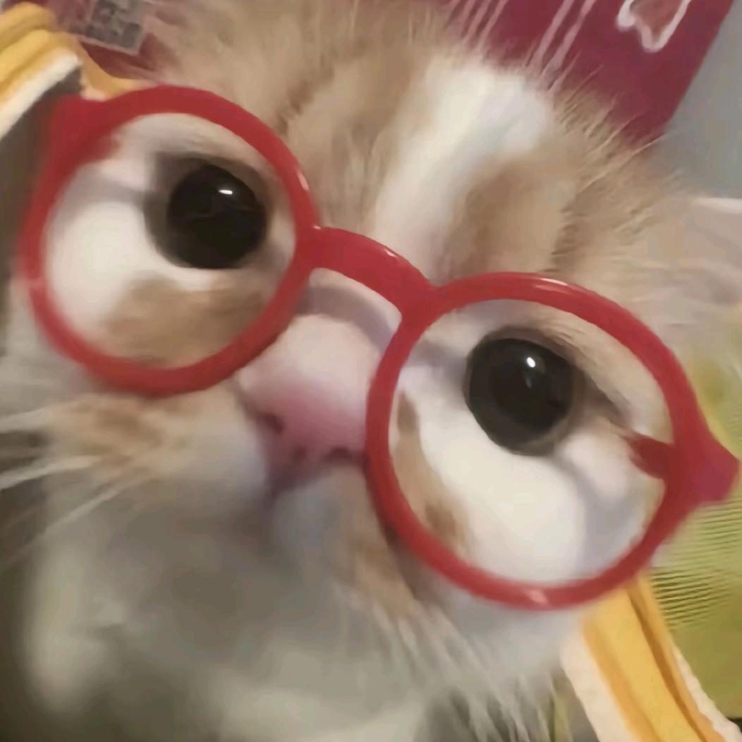 流泪猫猫头