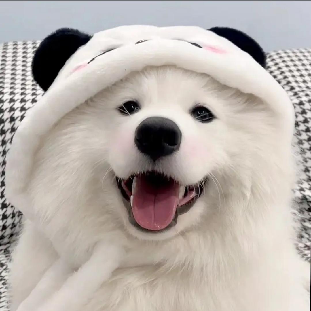 B仔酱酱