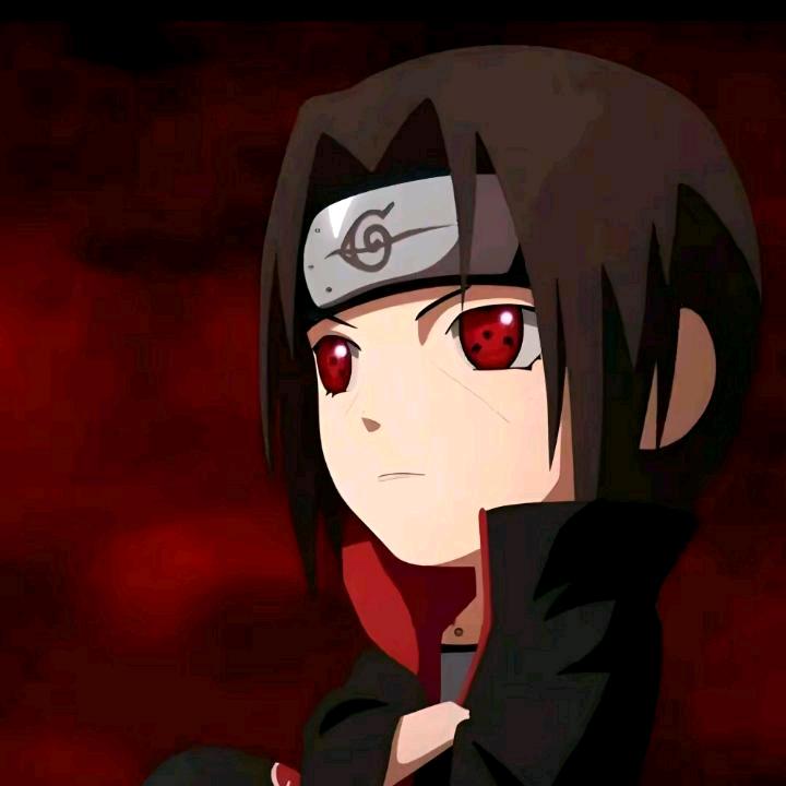 逗比姑凉很暖心