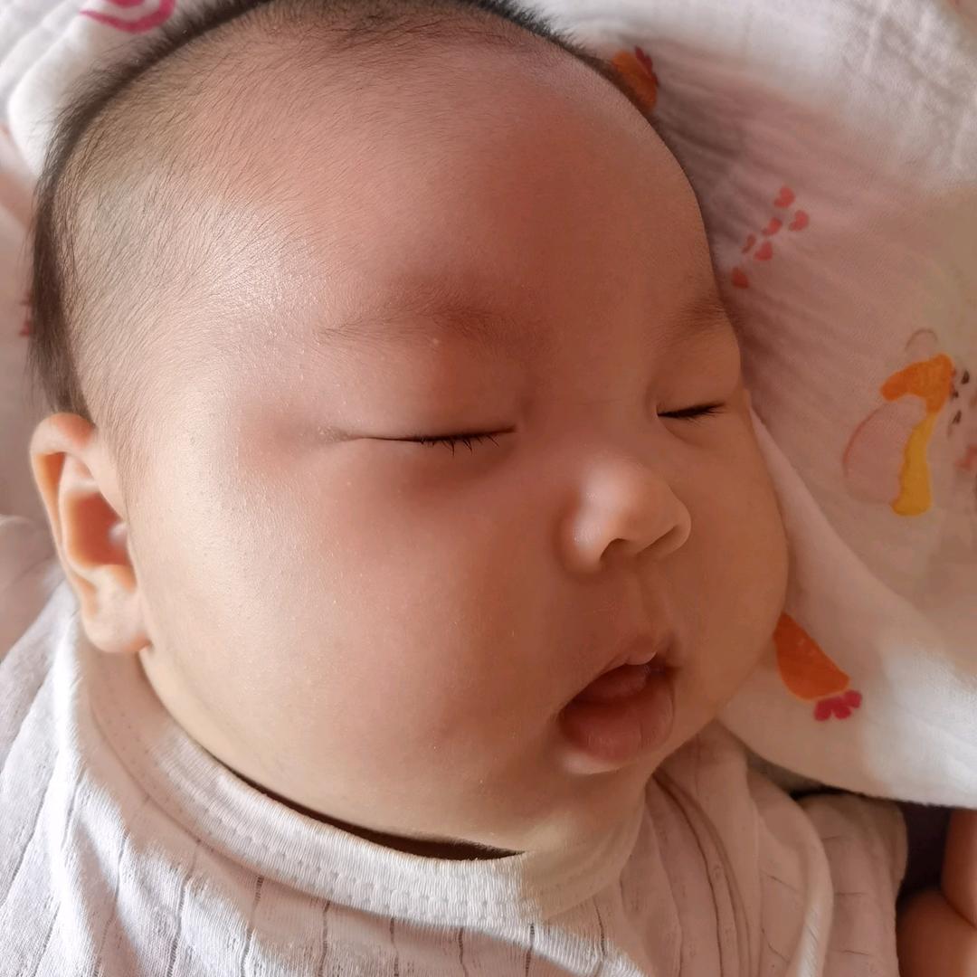 是柚子呀