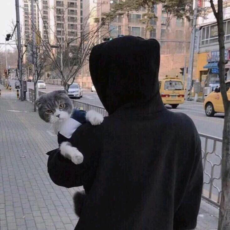 佳佳的朋友圈🚘（青州理想婚车  车队）