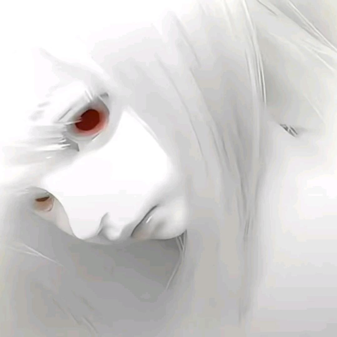 向小路