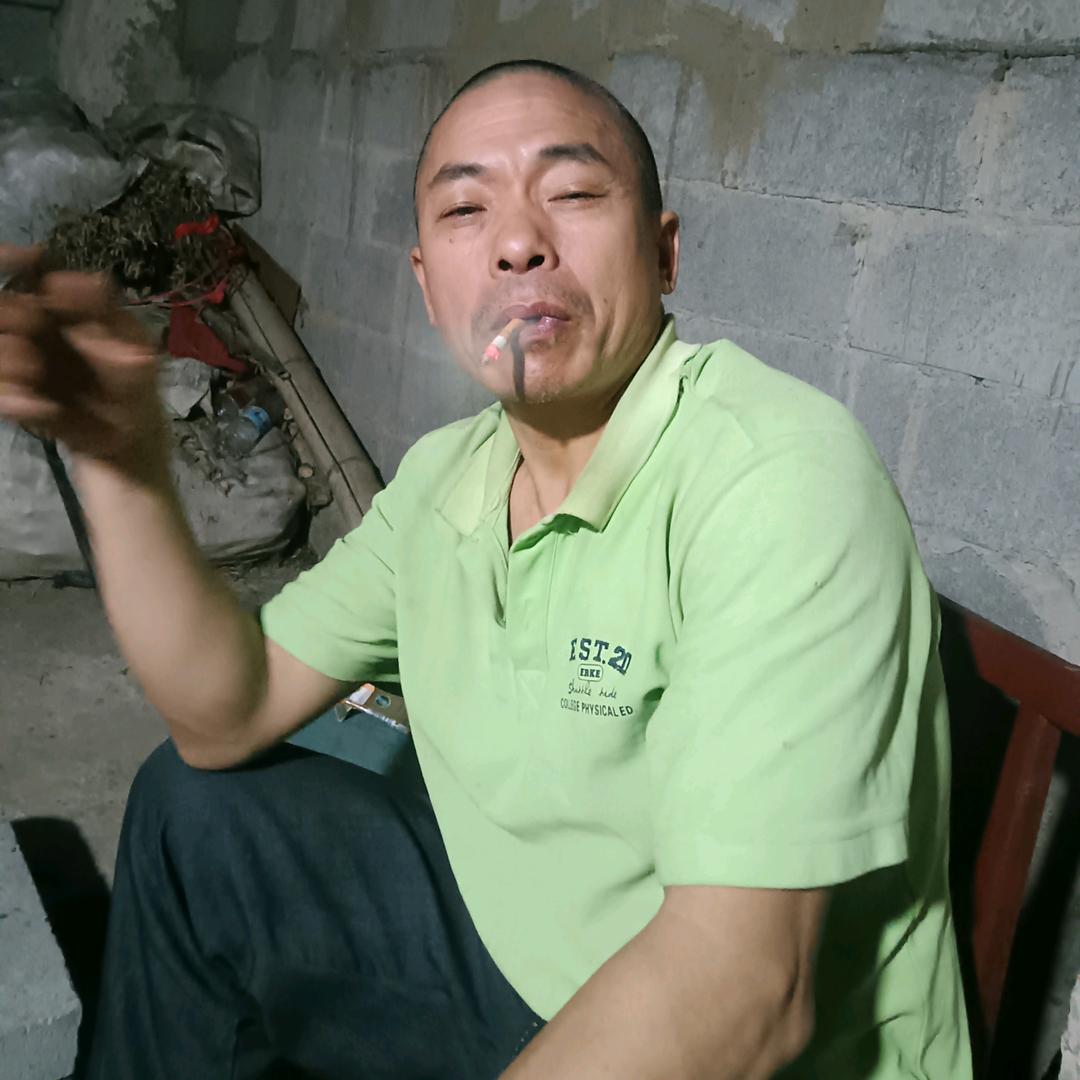 野猫家猫🐱一 锅端