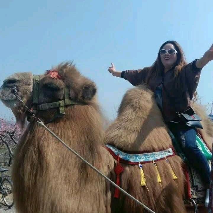 普通的女人