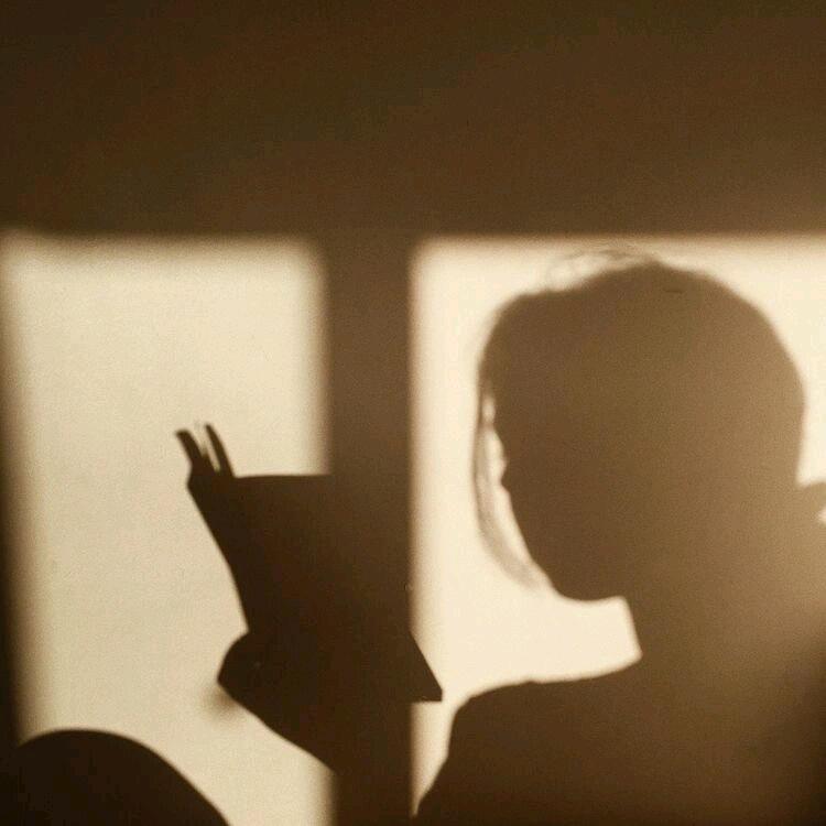 柒录书斋〰️◡̈⃝ 𓏸 𓂂