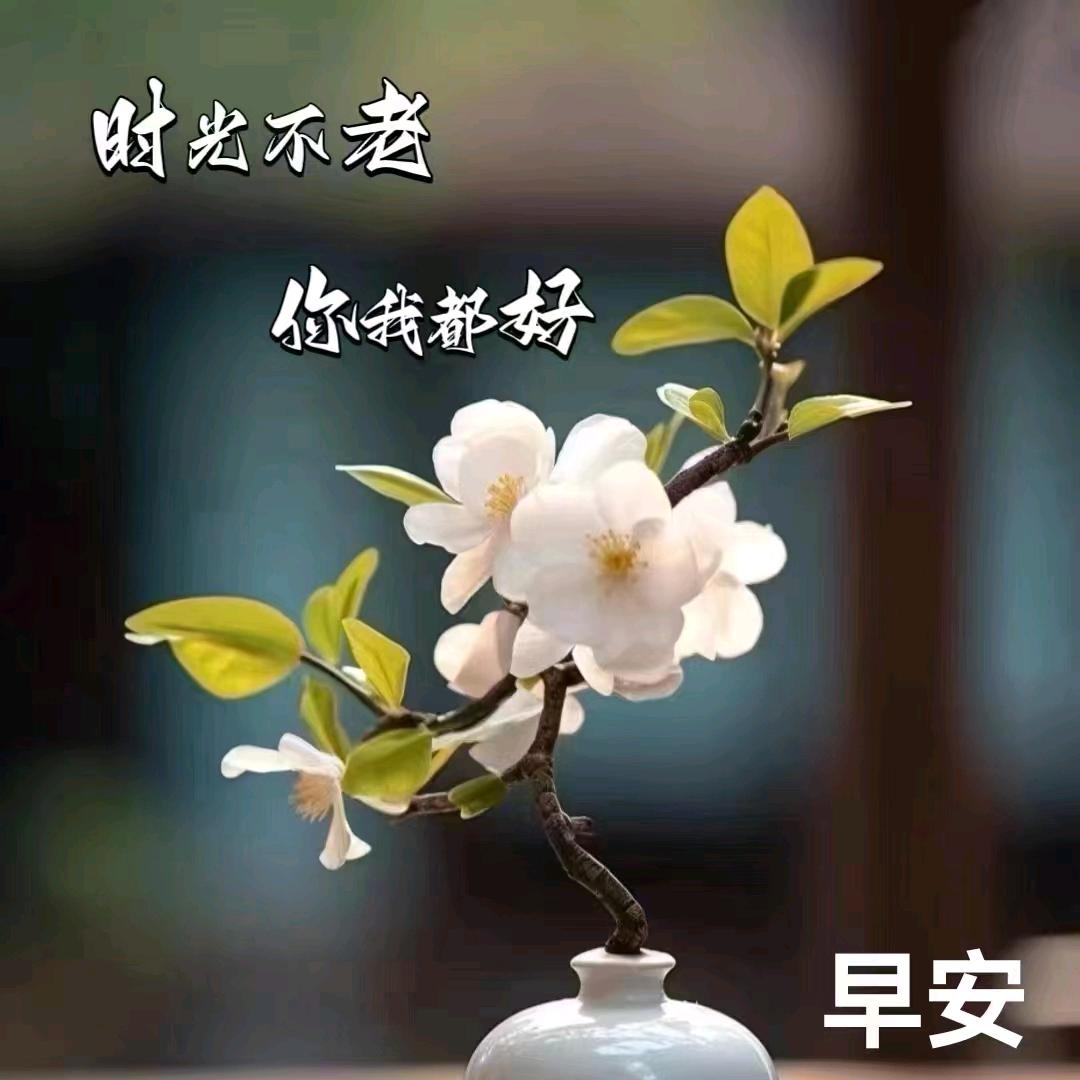 碧海蓝涛