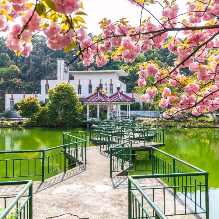 无锡南洋小助手